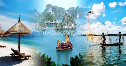 Top 10 công ty du lịch lữ hành uy tín nhất Việt Nam